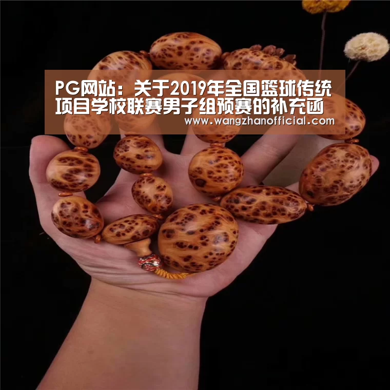 PG网站:关于2019年全国篮球传统项目学校联赛男子组预赛的补充函(图3) PG试玩