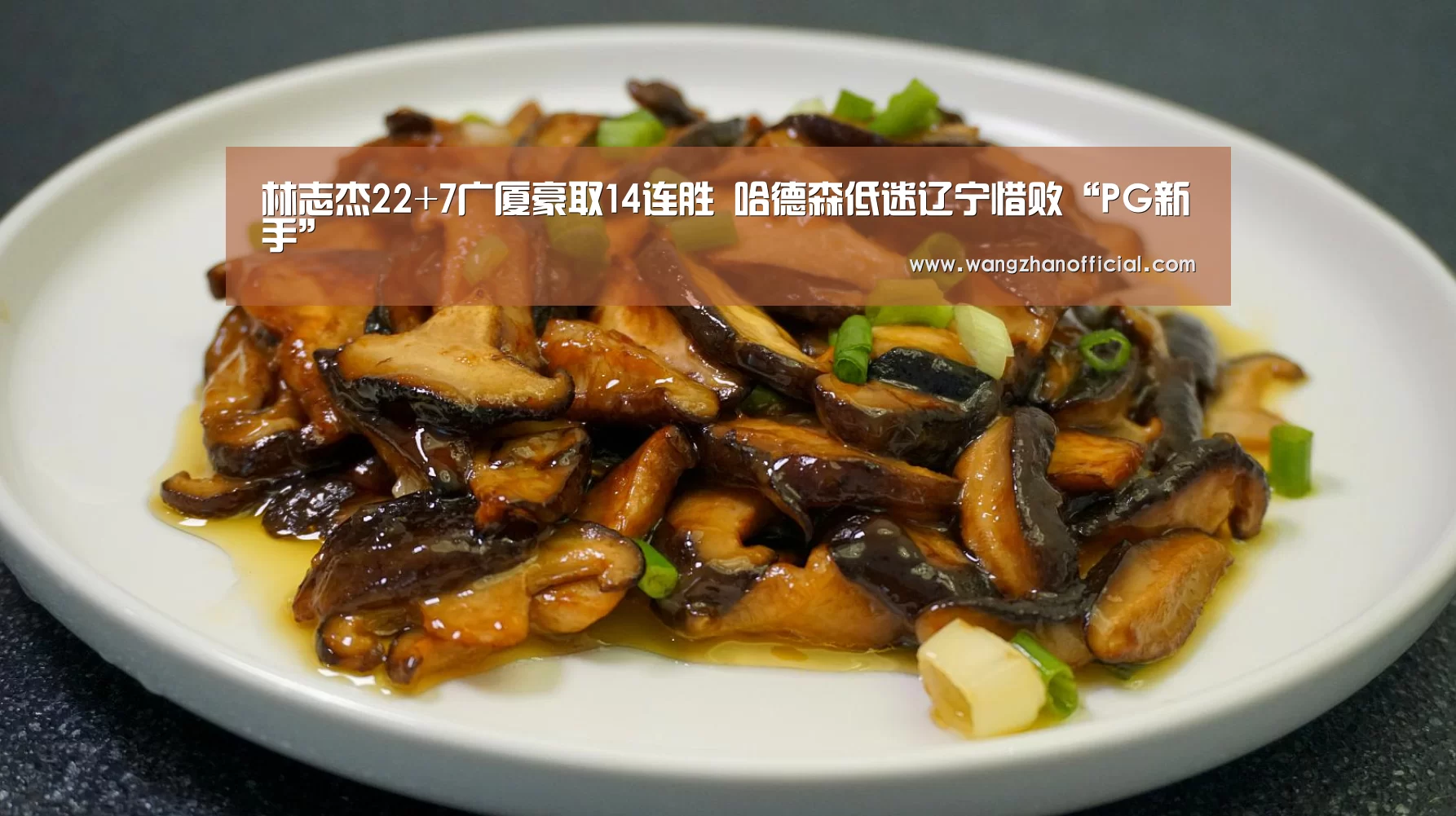林志杰22+7广厦豪取14连胜 哈德森低迷辽宁惜败“PG新手”(图3) PG网站