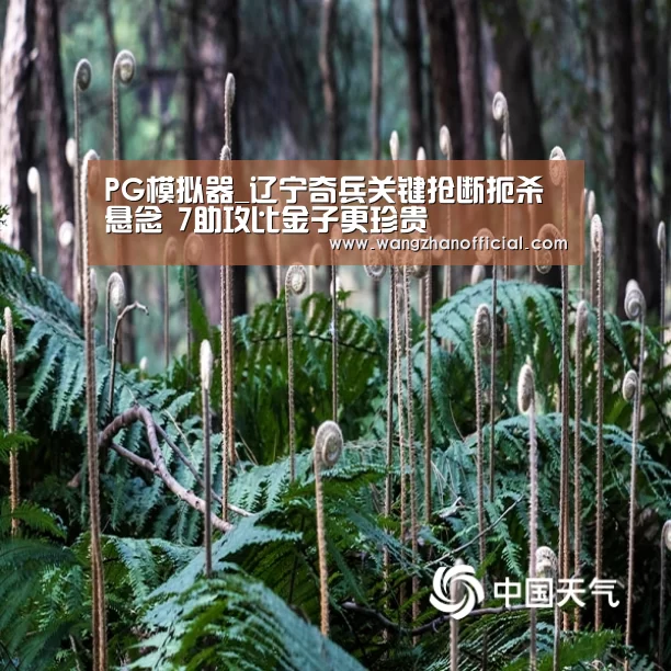 PG模拟器_辽宁奇兵关键抢断扼杀悬念 7助攻比金子更珍贵(图2) PG模拟器