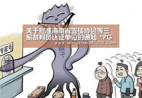 关于批准海南省篮球协会等三家裁判员认证单位的通知“PG网站”(图3) PG网站
