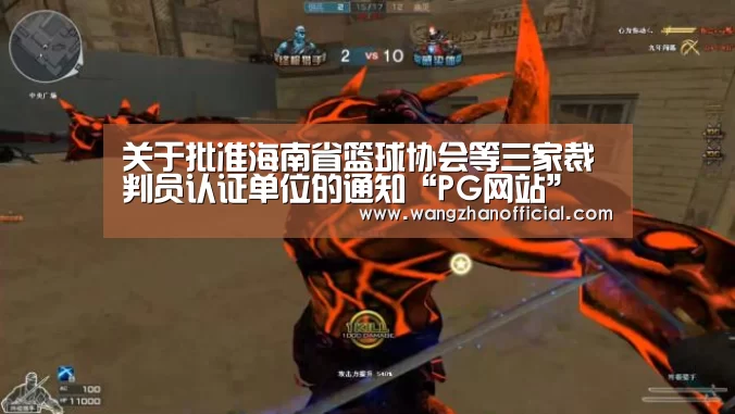 关于批准海南省篮球协会等三家裁判员认证单位的通知“PG网站”(图2) PG试玩