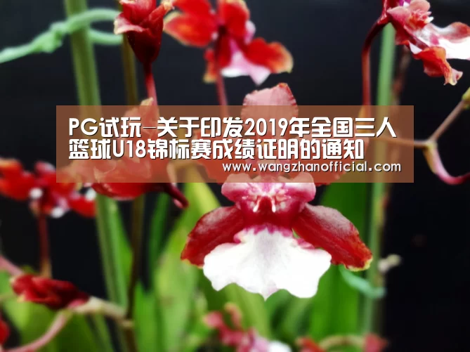 PG试玩