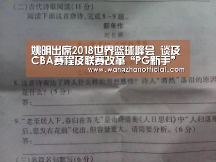 PG模拟器